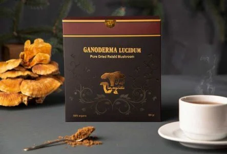 خرید و فروش قارچ گانودرما