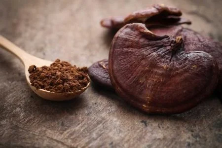 قهوه گانودرما برای زگیل تناسلی