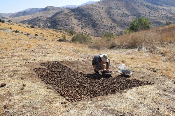 کشاورزان قطب سیر ایران در جستجوی آب و امید