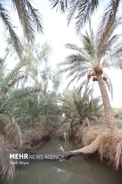 «جزیره مینو» قطب جدید گردشگری خوزستان