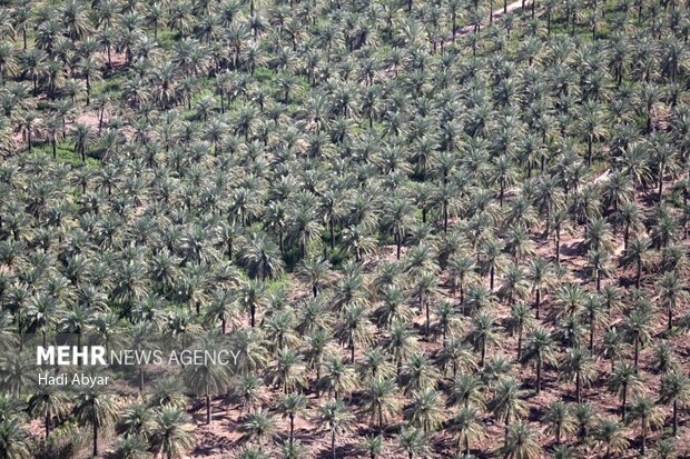 «جزیره مینو» قطب جدید گردشگری خوزستان