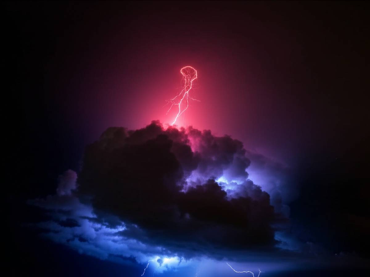 293847561023