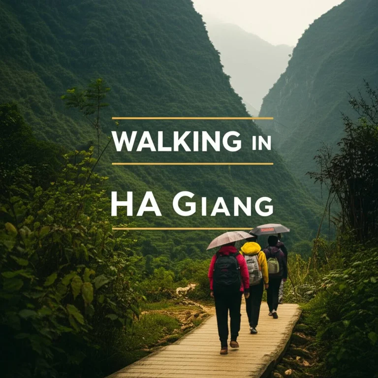 پیاده روی در ها گیانگ Ha Giang