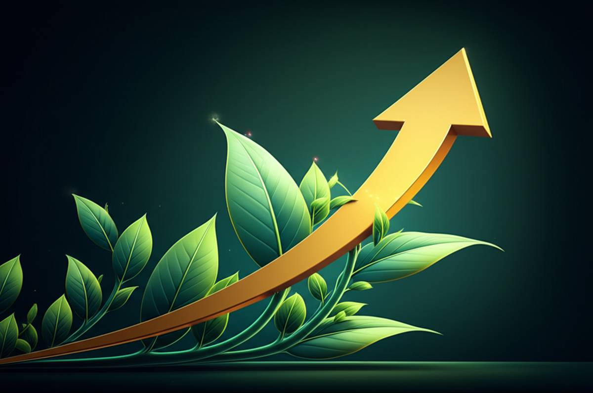 نکات کلیدی کیم کیوساکی | راهنمای رشد مالی و ثروت آفرینی